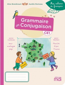 Mes cahiers de français - Grammaire-Conjugaison CE1